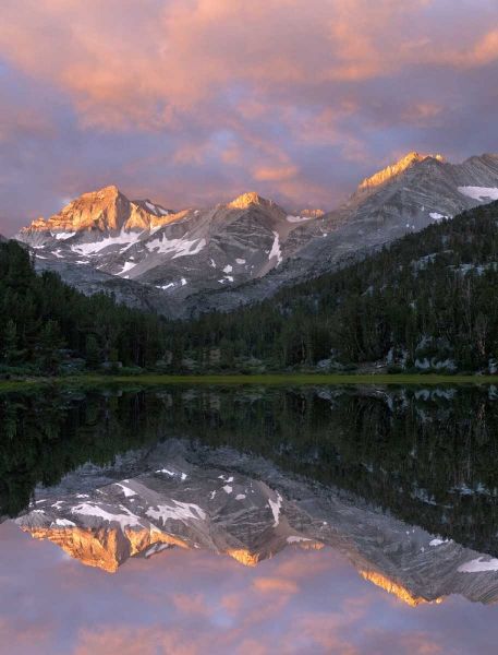 USA, California Marsh Lake at sunrise